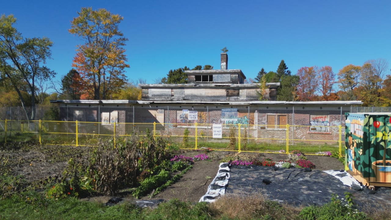The Jury Lands Foundation has created a rejuvenation garden near the Camp 30 cafeteria to demonstrate that land can be a valuable community resource.