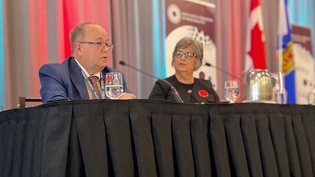 N.S. municipal affairs minister promises communication on natural resource projects