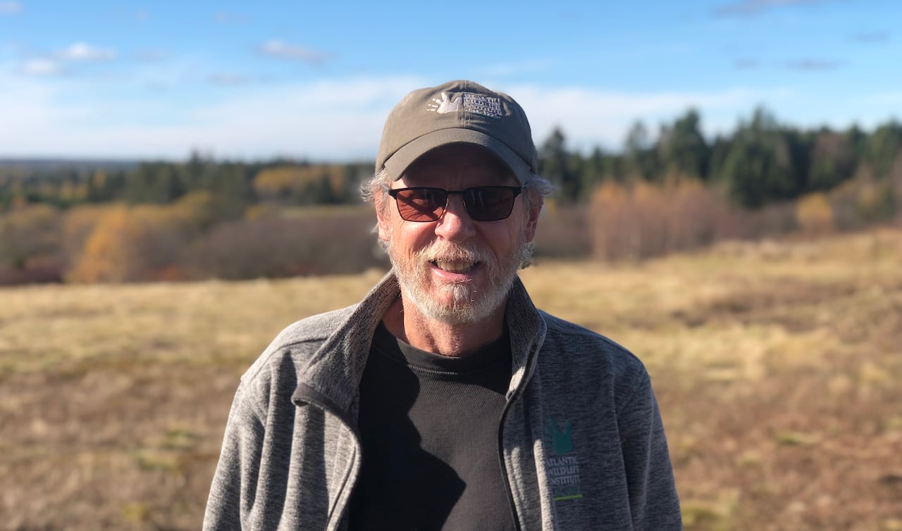 a antheral stands successful the prima with agrarian scenery down him