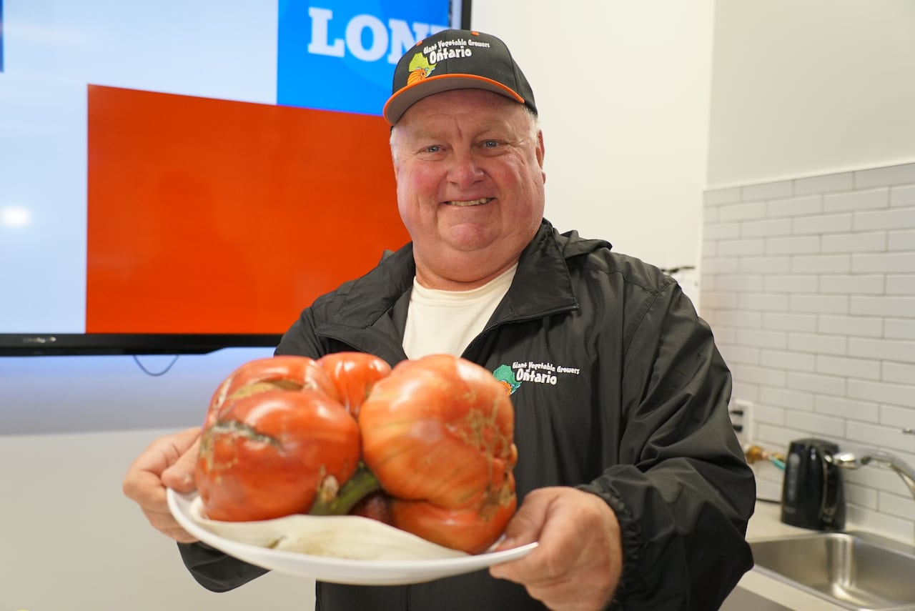 man holds giant tomato