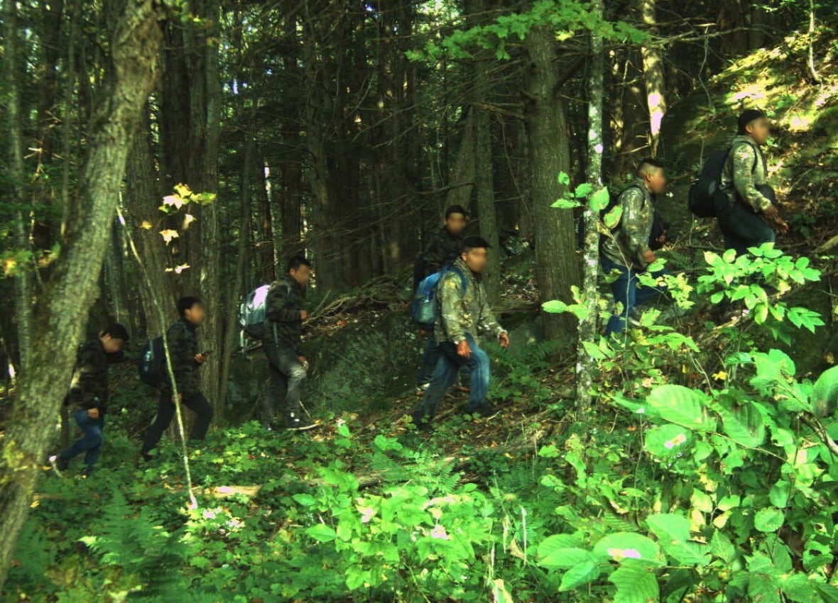 Seven people with blurry faces are walking in a wooded area.