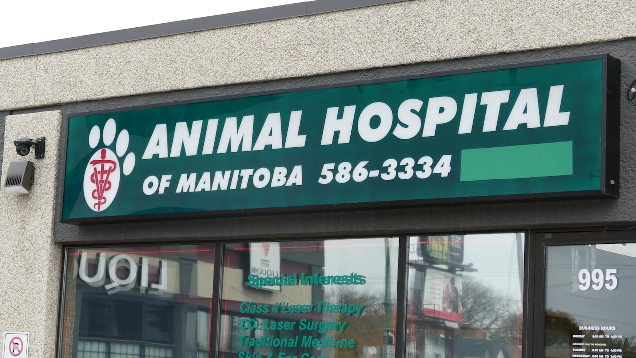 A sign on the front of a building says Animal Hospital of Manitoba in white letters on a green background with windows below.