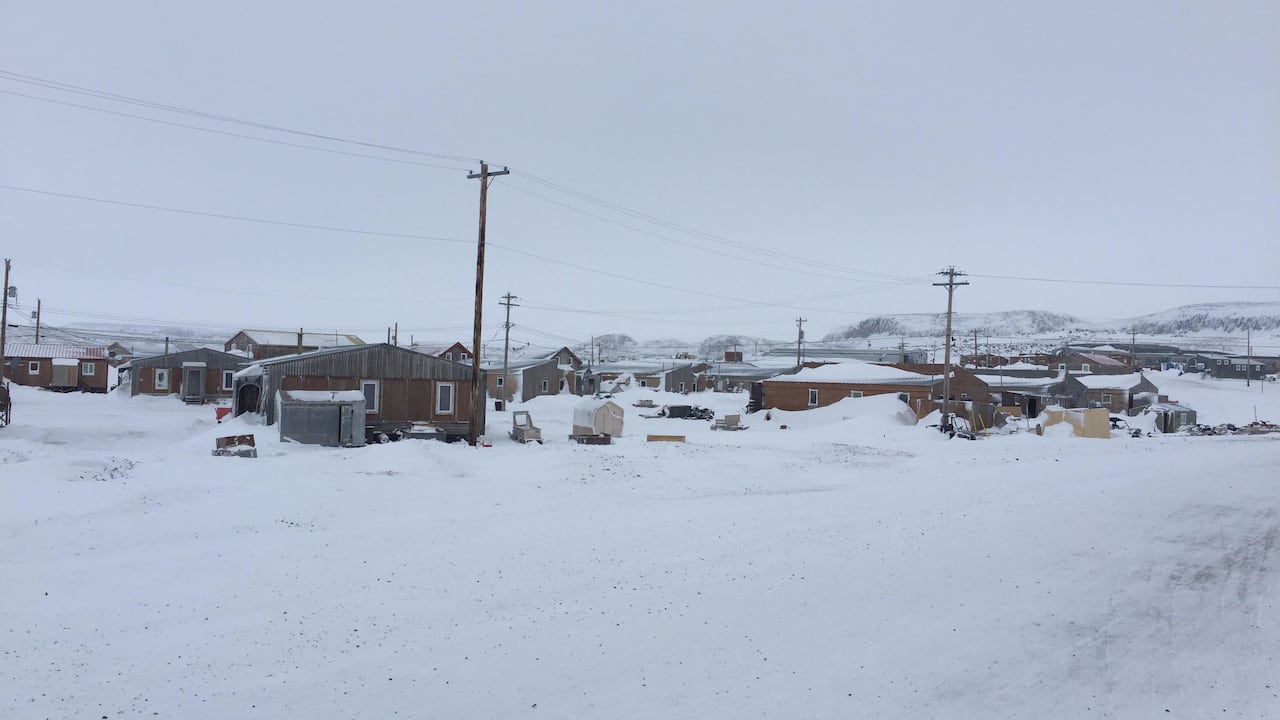 houses surrounded by power lines