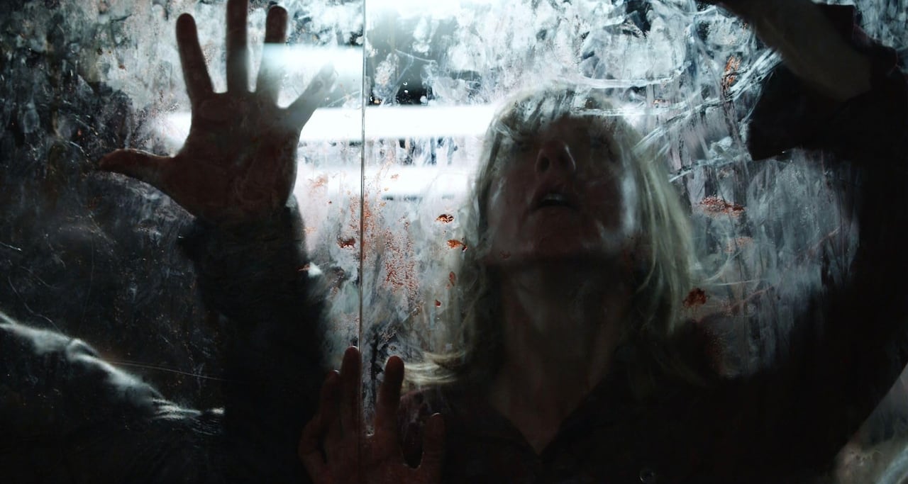 2 people clinging to a window, with blood smeared across the glass.