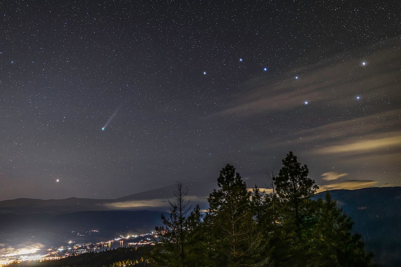 Mountains, starry sky and a comet with trees in the foreground.