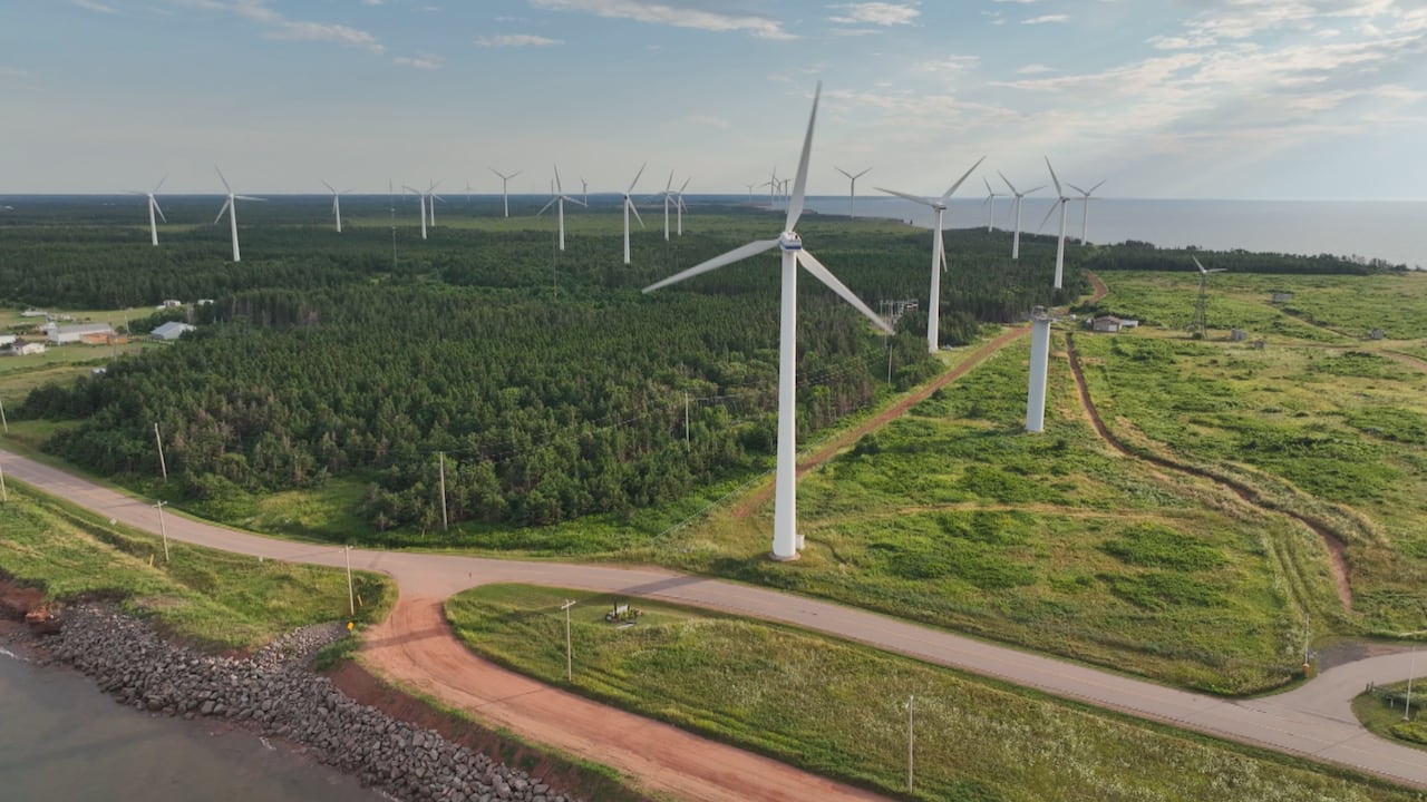 More than two dozen huge white windmill structures stand in meadows and low woodland near a blue ocean. 