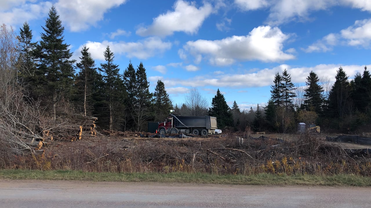 A operation tract astatine the broadside of a roadworthy with a heap of chopped trees, a dump motortruck and a portapottie visible.