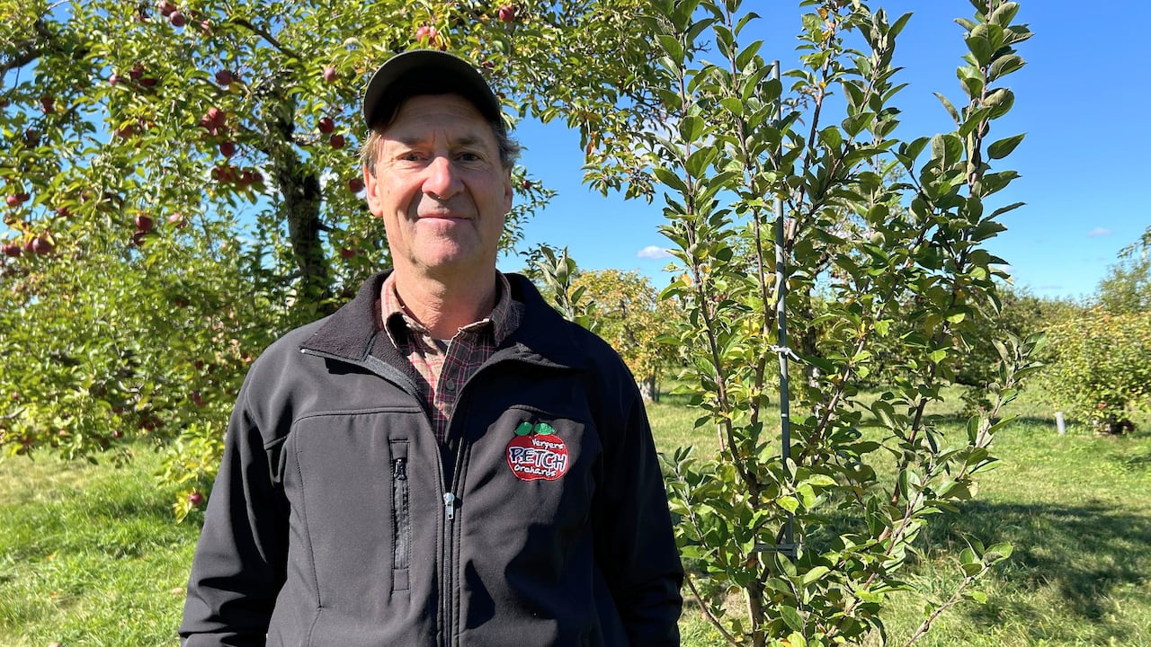 Why this year’s apple season was less fruitful for some Quebec orchards