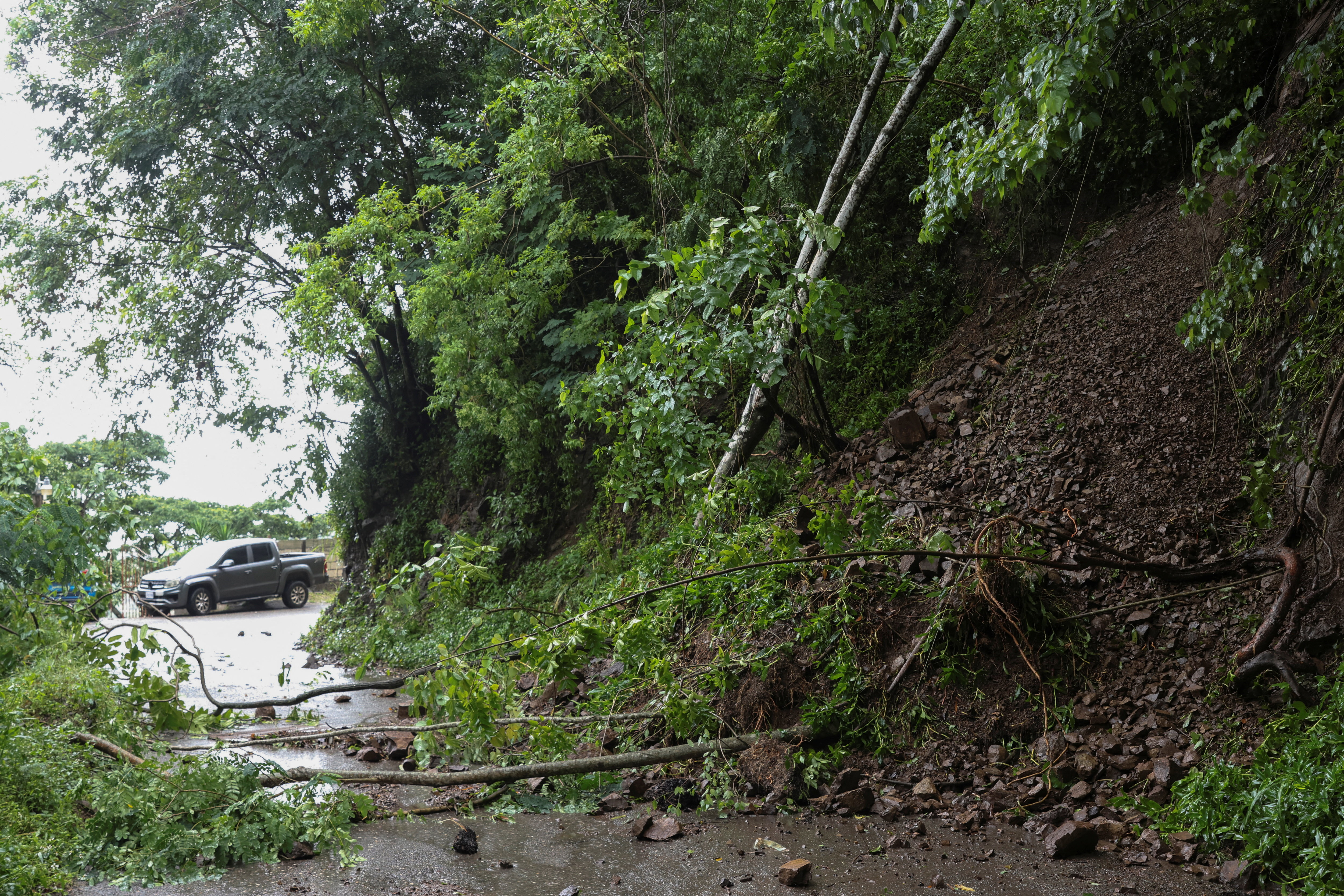 'It's a scary time': Jamaicans in N.L. watch Hurricane Melissa from a distance; Downed tree branches block a road in Gordon Town, Jamaica on Tuesday\.