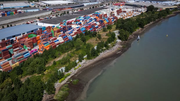 Industrial land between No. 5 Road and No. 8 Road along the north side of the Fraser River in Richmond, B.C, is pictured Aug. 12. Certain properties on Lulu Island are the subject of a court decision that granted Aboriginal title to Quw’utsun (Cowichan) Nation. The shores of Lulu Island and the industrial facilities on the land