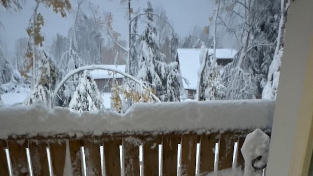 Wekusko Falls Lodge Trees are bent and an outside deck and railing is covered in thick snow.