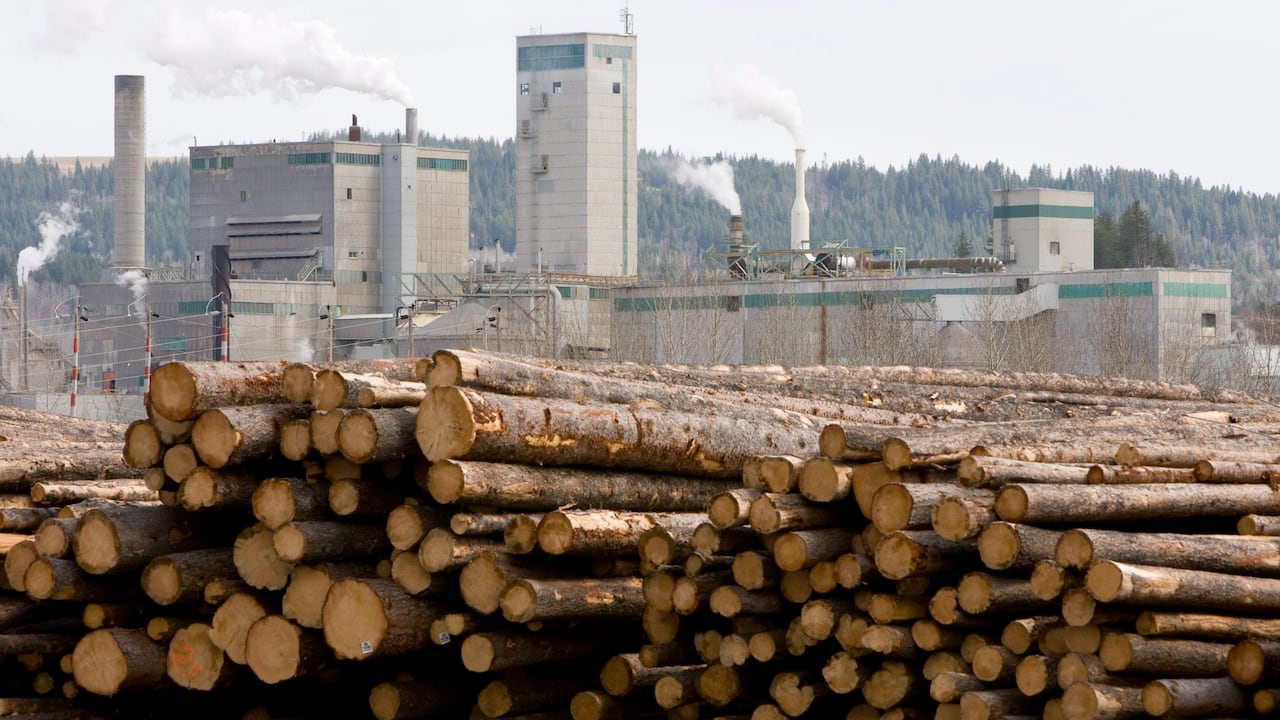 Logs are piled up astatine a lumber mill facility