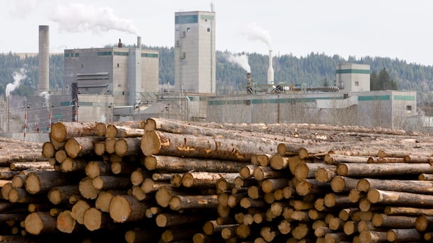 Mill to shutter in 100 Mile House, B.C., taking 165 forestry jobs with it