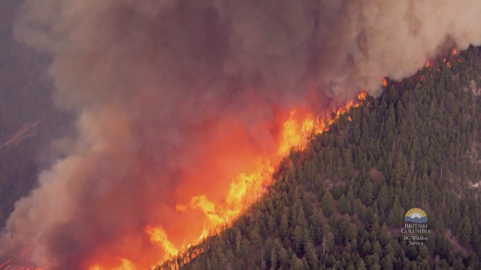 Hundreds under evacuation order in B.C. as wildfires grow Hundreds under evacuation order in B.C. as wildfires grow