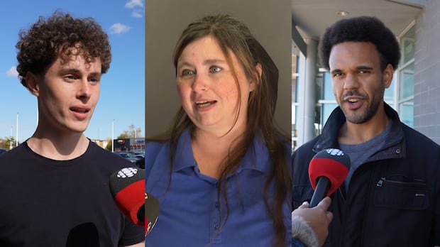 What should replace Marineland?  Niagara residents weigh in on the future of the amusement park