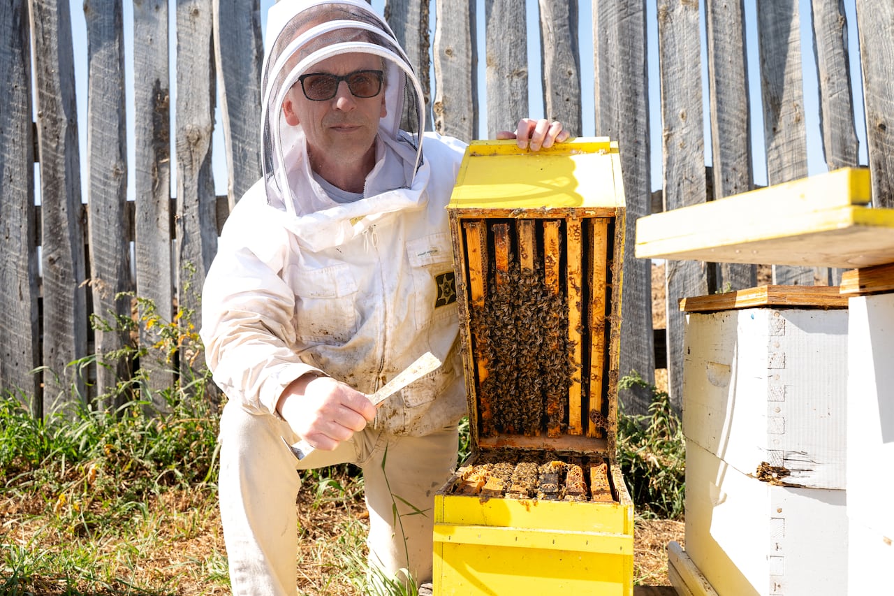 Um homem com roupa branca cobrindo todo o corpo de joelhos ao lado de uma caixa amarela com abelhas dentro.