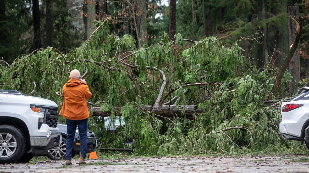 B.C. 'bomb cyclone' leaves thousands without power | CBC.ca