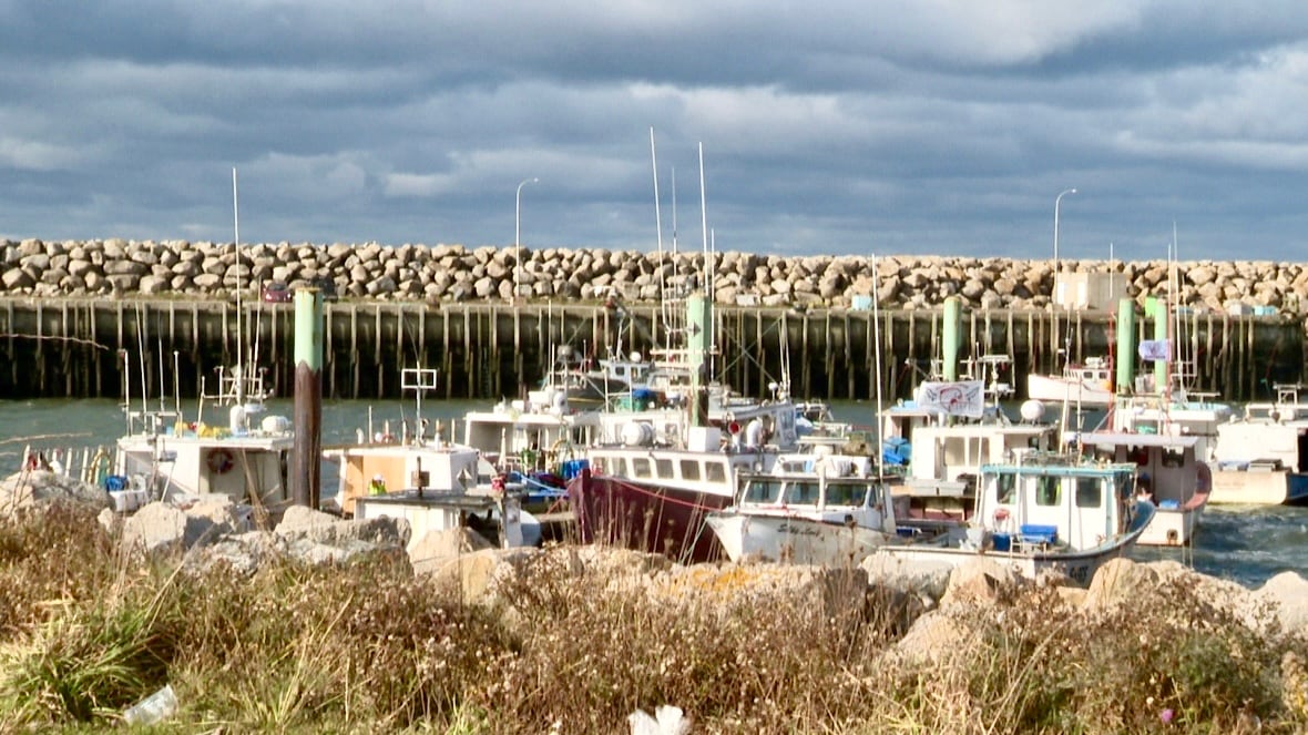 Are the federal Liberals hurting the chances of the provincial Liberals in Clare? | CBC.ca
