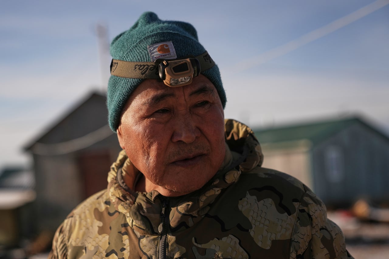 A adjacent up of a antheral wearing a toque