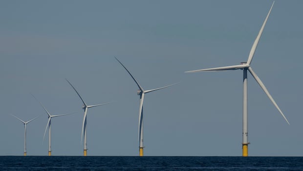 As Nova Scotia’s offshore wind ambitions grow, so do concerns from fishing industry