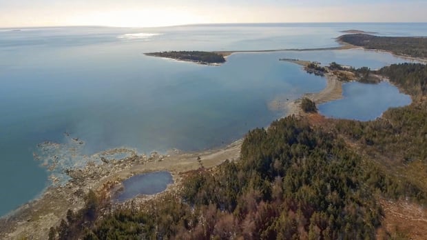 Nova Scotia's would-be whale sanctuary is one step closer to reality