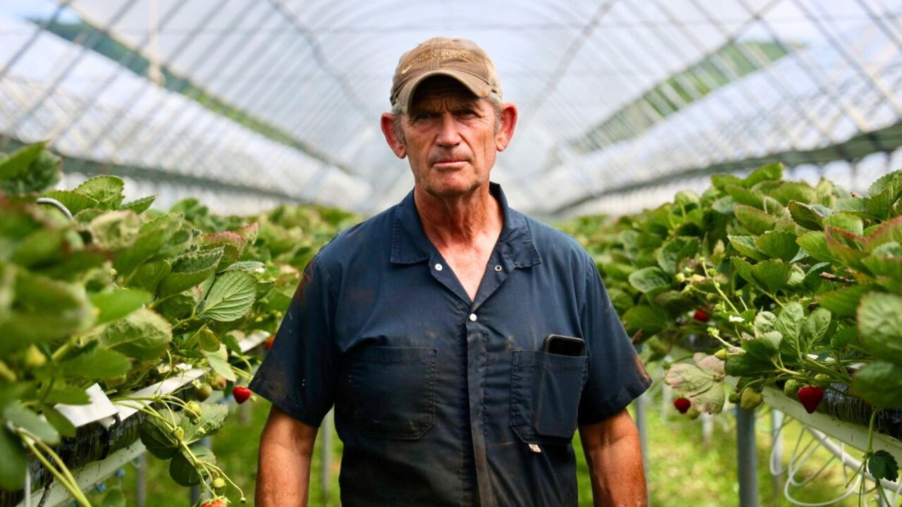 Heat wave keeping Nova Scotia farmers busy