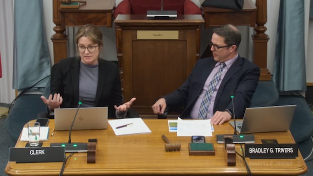 P.E.I. MLAs and constitutional law P.E.I. MLAs and constitutional law