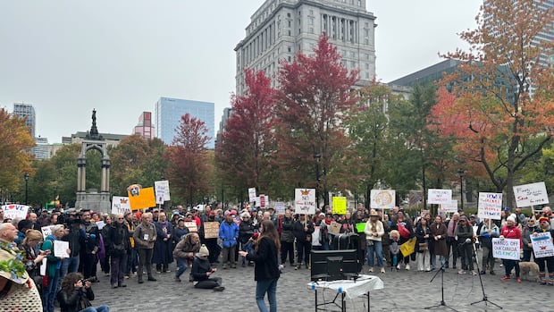 Montrealers gathered at Place du Canada to take a stand for democracy in what they called a 'No Tyrants' demonstration. A crowd is gathered in a city park as a woman speaks in a microphone.
