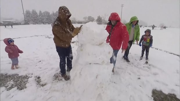 People dressed warmly build a snowman in a snowy field.