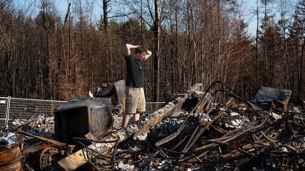 Almost one million Canadians have serious climate anxiety, study suggests