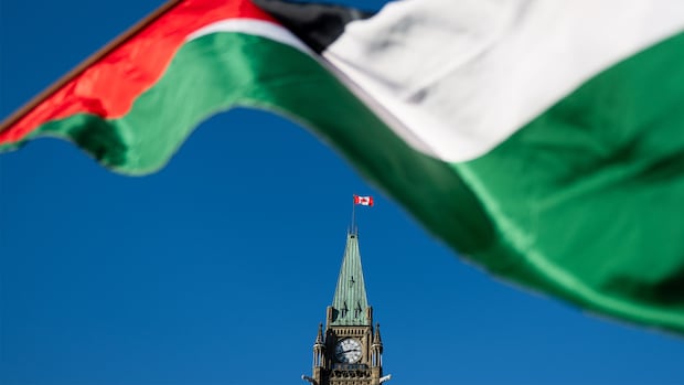 A flag flies in front of the parliament building