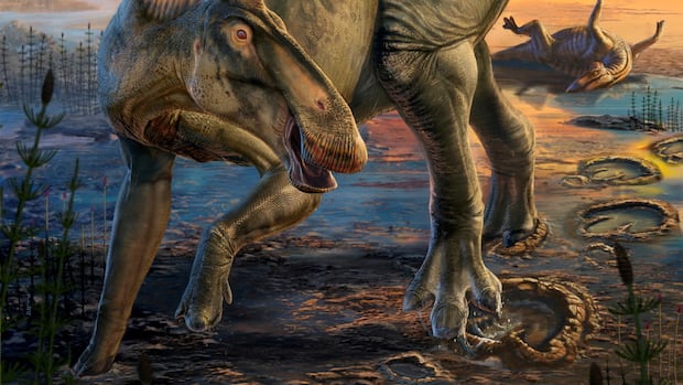 An undated artist's impression shows the duck-billed dinosaur Edmontosaurus as it appeared in life 66 million years ago, based on fossilized "mummies" discovered in east-central Wyoming. Dani Navarro/Handout via REUTERS NO RESALES. NO ARCHIVES. THIS IMAGE HAS BEEN SUPPLIED BY A THIRD PARTY Colourful illustration of a duck-billed dinosaur, with hooved front feet, a red flap on its head and a striped orange ridge along its back, tromping through the mud