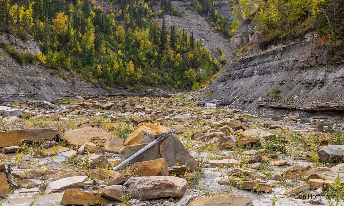 A dry river bed with autumn trees around it.