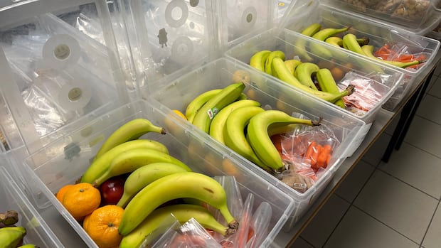 boxes of food lay side by side showing bananas, oranges and carrots in each box