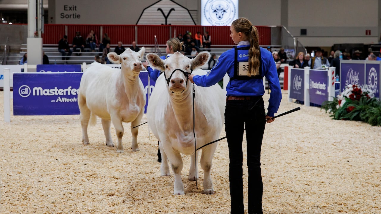 What you need to know about this year's Royal Agricultural Winter Fair