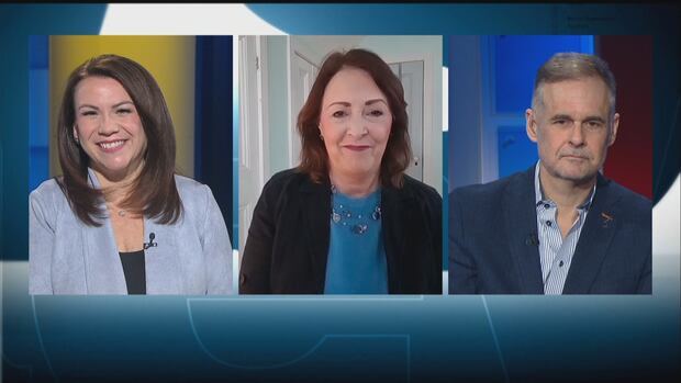 Louise Martin, Sally Pitt and Paul MacNeill. Three people's photos are juxtaposed on the screen: Two women with shoulder-length brown hair and a man with grey hair.