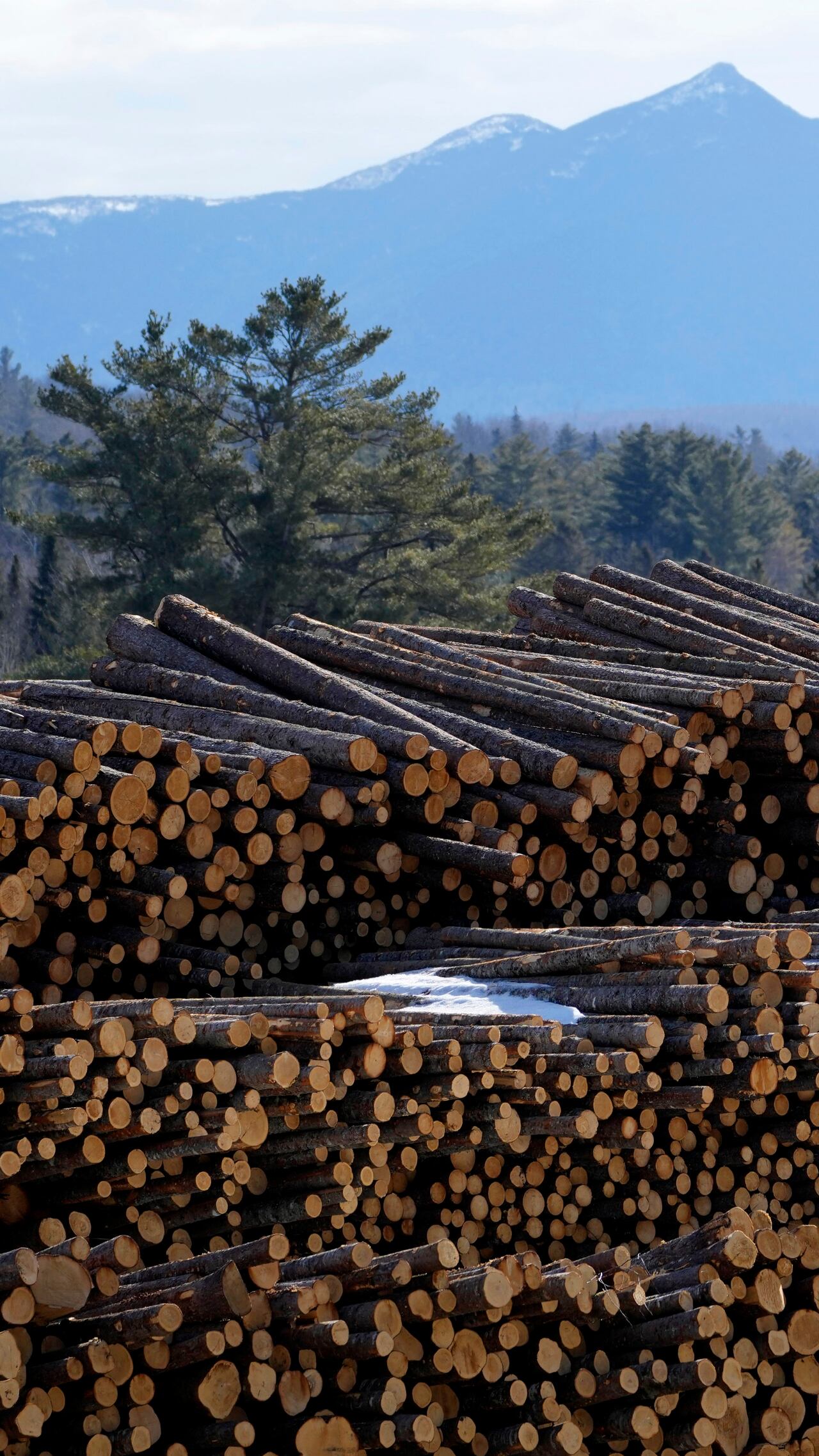 Finance minister says world economy showing signs of resilience in face of U.S. trade war