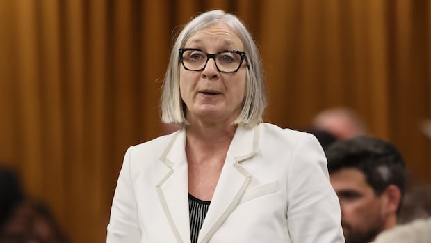 Amid push for growth, federal budget garners mixed reactions in northwestern Ontario