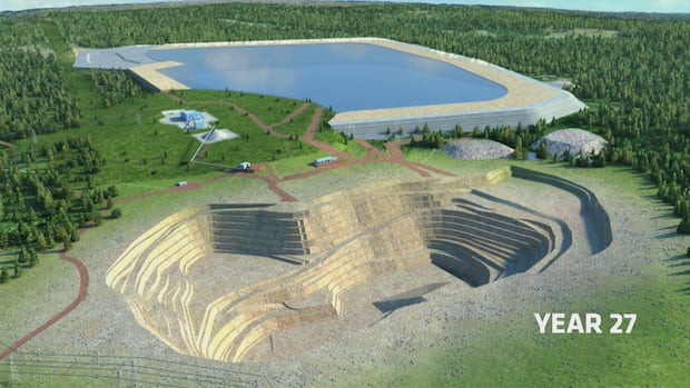 Mining, forestry industries in N.B. could benefit from federal budget