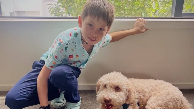 RCMP launch province-wide billboard campaign to find missing 11-year-old Kai Pavlovic