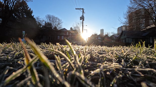 Fall weather coming to Toronto, with overnight frost risk in forecast | CBC News