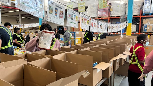 Roll up your sleeves' for the Daily Bread Food Bank's Thanksgiving drive | CBC News