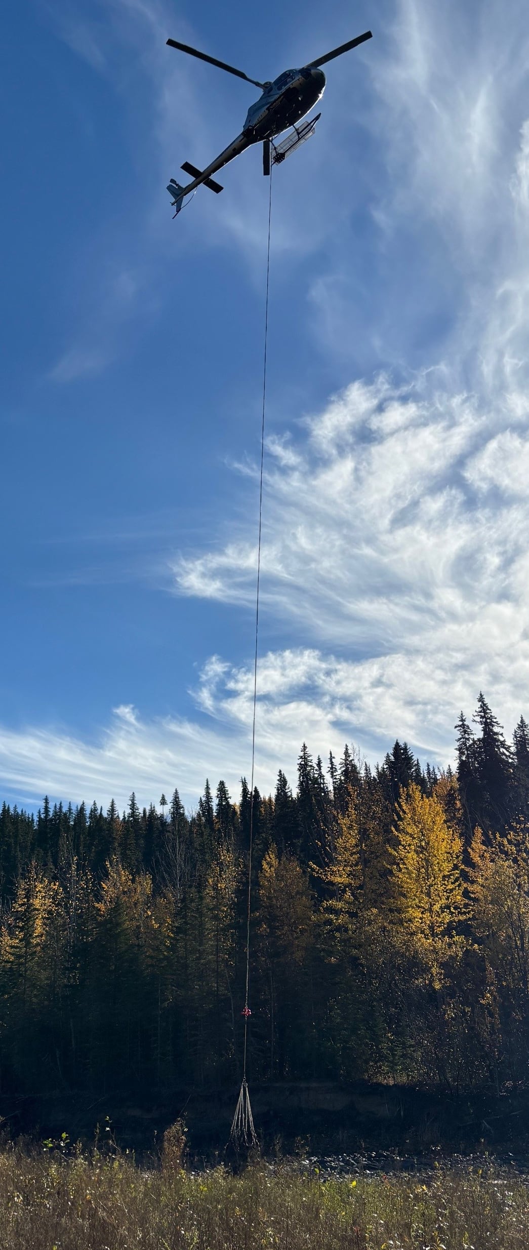 Prairie Crane provided funding for the helicopter lift. The wings were provided by Ridge Rotors, a local helicopter operator in Tumbler Ridge who previously worked with the museum to lift specimens.