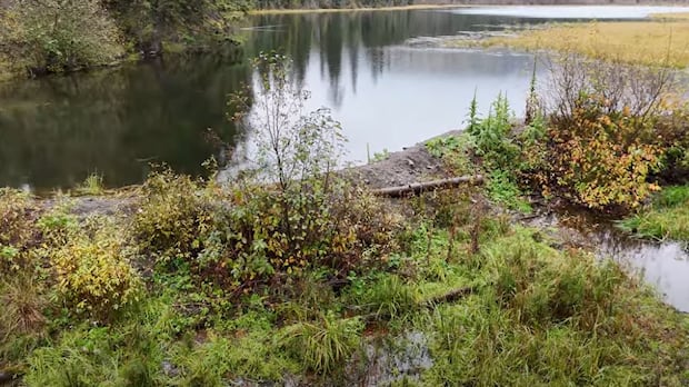 Evacuation alert for rural properties near Kamloops, B.C., rescinded as crews clear debris from man-made dam