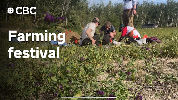 A field of grass and flowers with people learning about farming in the background.