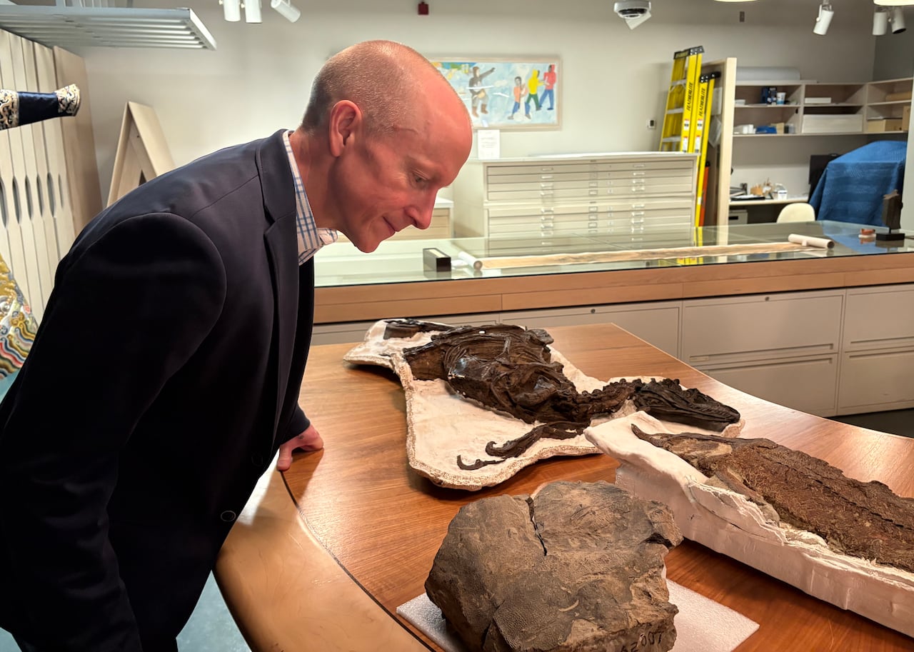 A antheral wearing a suit peers intently astatine immoderate fossils and akin artifacts displayed connected a woody table.