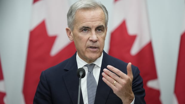 Prime Minister Mark Carney speaks during a news conference.