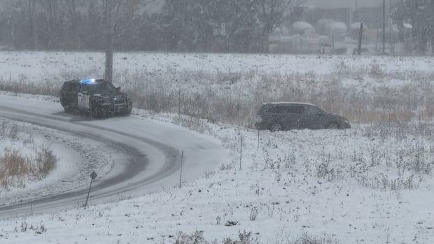 GTA's first snowfall causes transport chaos | CBC News