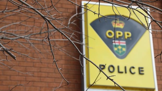 2 men charged with fraud for allegedly fabricating carjacking report: Caledon police | CBC News