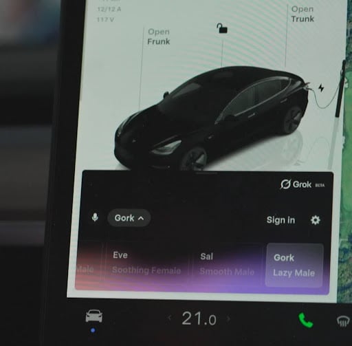 Image of a Tesla screen